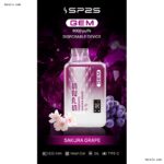 SP2S GEM 9000 Puffs拋棄式電子煙 一次性可充電電子煙 台灣現貨