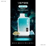 SP2S GEM 9000 Puffs拋棄式電子煙 一次性可充電電子煙 台灣現貨