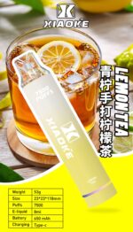 梟客 7500口大容量拋棄式電子煙 可重複充電高品質一次性電子煙推薦