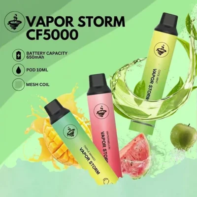 VAPOR STORM 5000 PUFFS 拋棄式電子煙 飛霧發光一次性電子煙桿