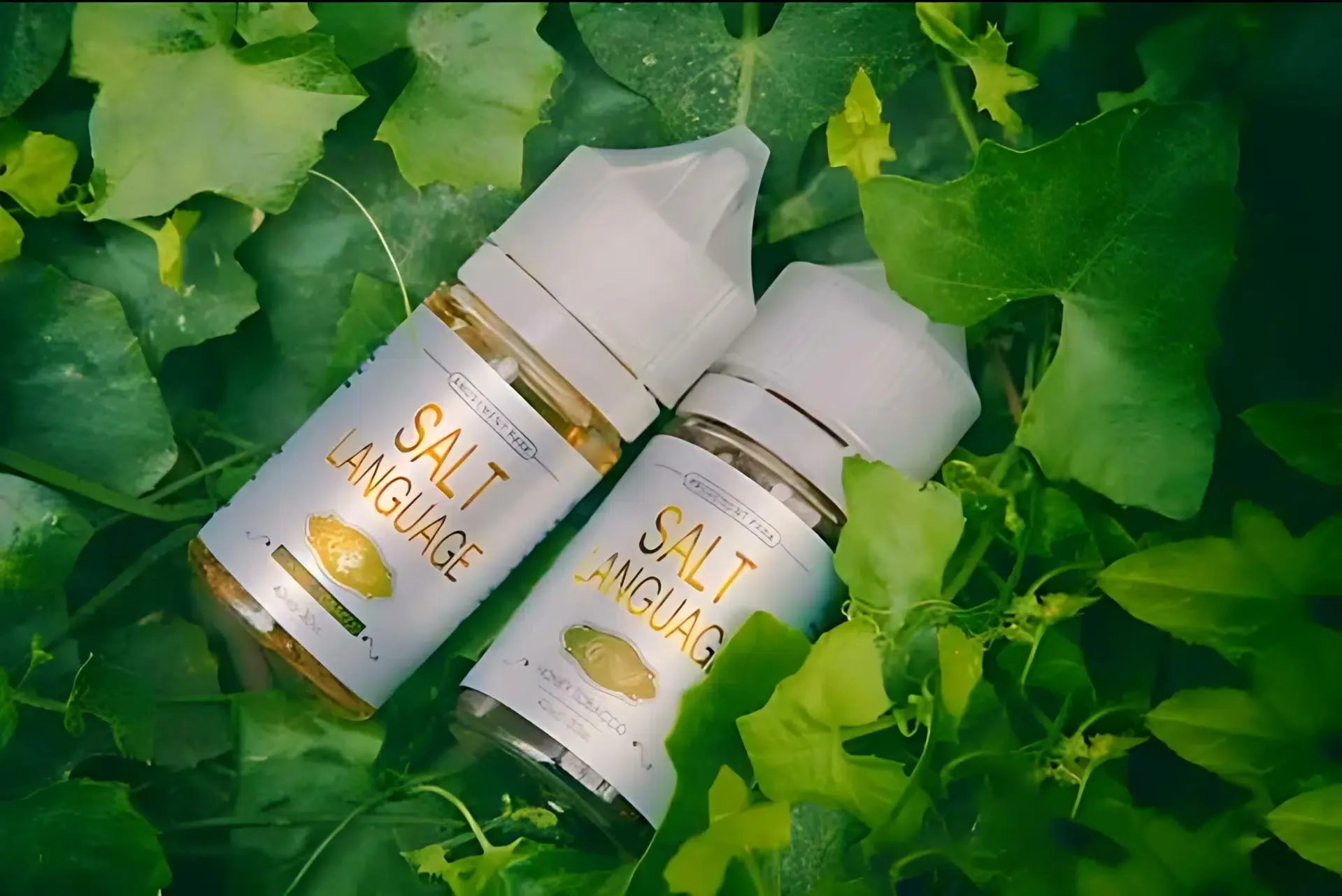 鹽語煙油推薦|35ml・35mg尼古丁鹽・小煙專用5款口味|台灣現貨 2 鹽語煙油/35ml 容量35mg尼古丁鹽小煙專用|鹽語煙油推薦|35ml・35mg尼古丁鹽・小煙專用5款口味|台灣現貨